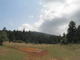 1509192_1513757168848923_659535110_n