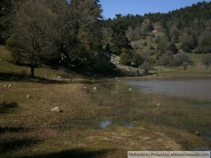 1925277_1535922736632366_1512716524_n